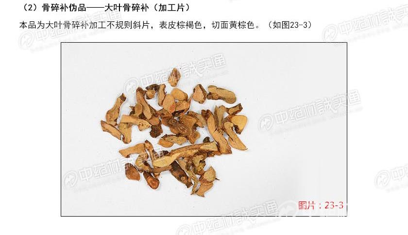 骨碎补真伪识别